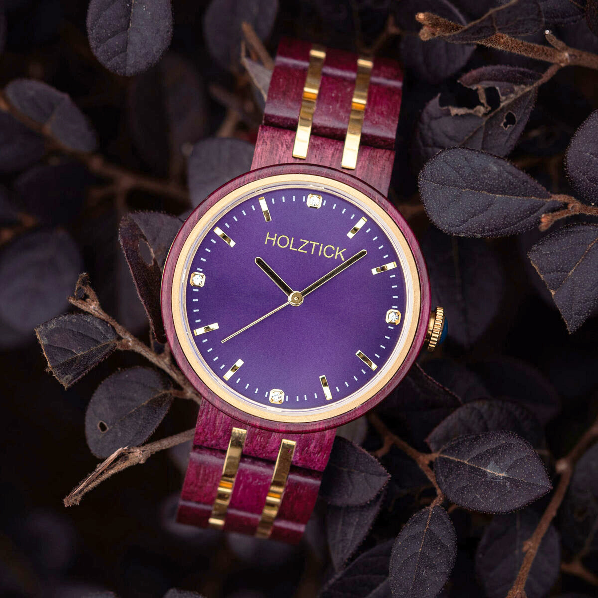 Violetta